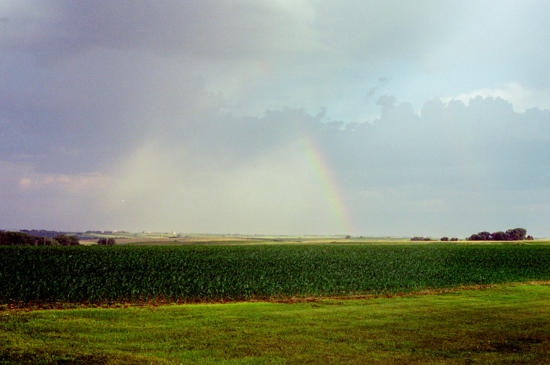Green corn fields in the foreground, in the distance there are purple storm clouds on the left and on the right there is a clearing showing light blue clouds and a rainbow.